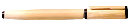 Pen Icon